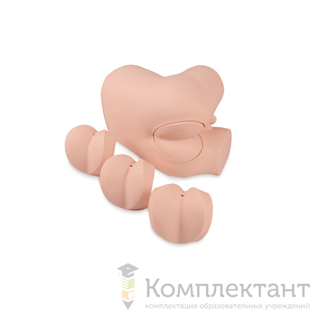 Тренажер ректального исследования расширенный